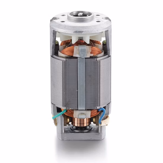 54mm 30W 12000rpm 220V OEM personalizado perforador de cortina exprimidor juguete trituradora serie AC Motor Universal monofásico