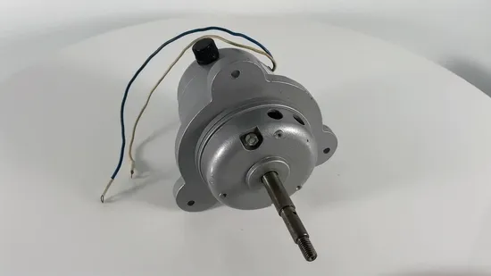 92mm 15W 12000rpm alto par 110V OEM Bg perforadora de cortina personalizada exprimidor serie AC trituradora Motor Universal monofásico